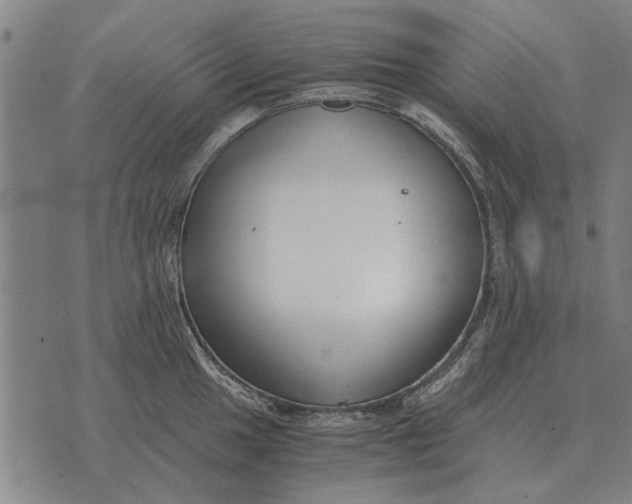 X0000073901049200609011713