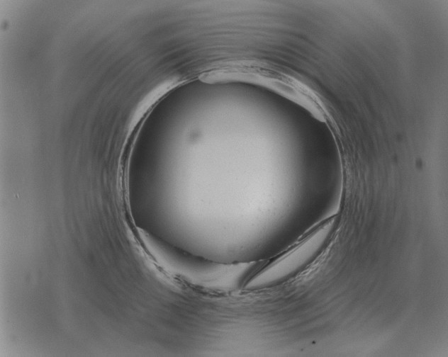 X0000073901050200609011713