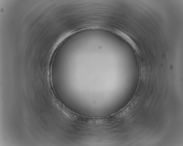 X0000073901051200609011713