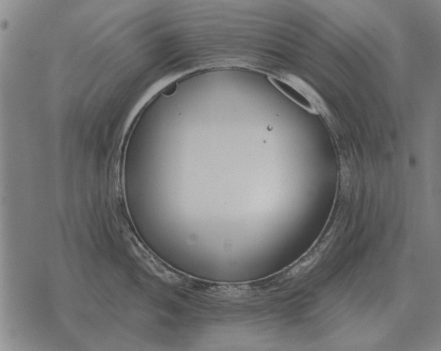 X0000073901052200609011713