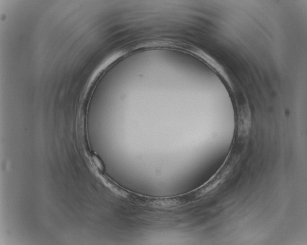 X0000073901053200609011713