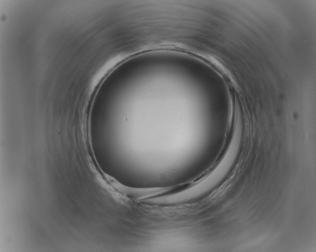 X0000073901054200609011713