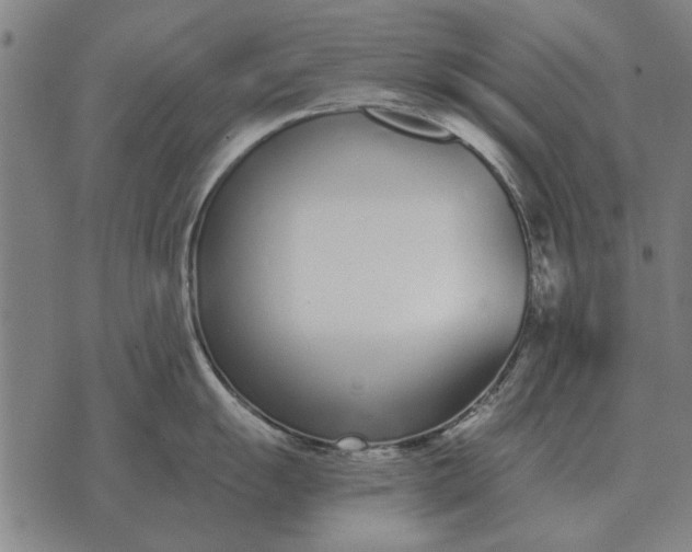 X0000073901055200609011713