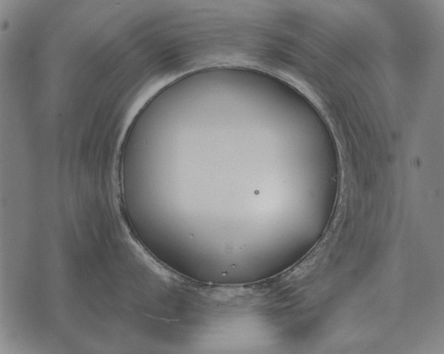 X0000073901056200609011713