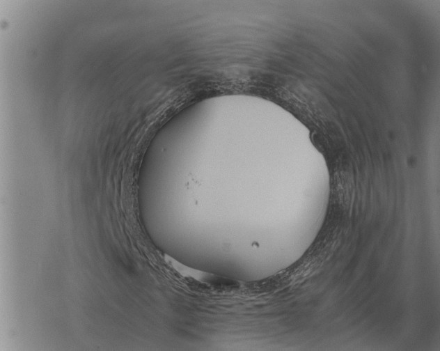 X0000073901057200609011713