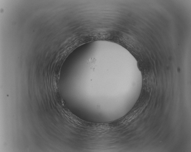 X0000073901058200609011713