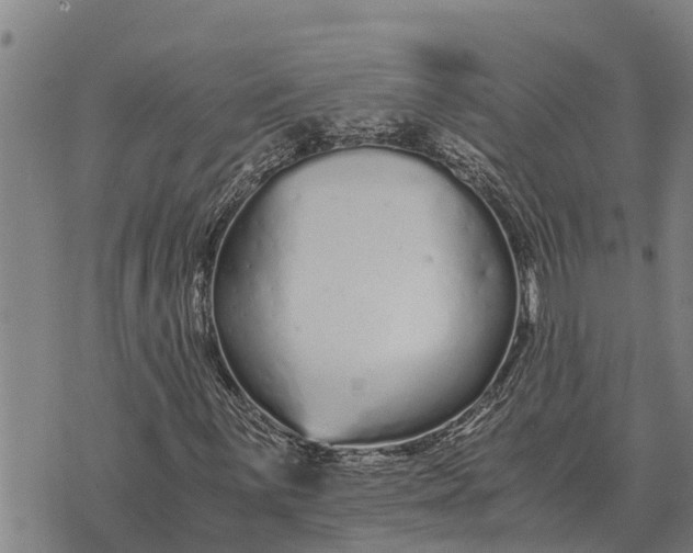 X0000073901059200609011713