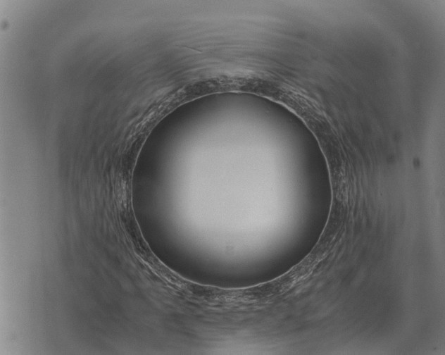 X0000073901061200609011713