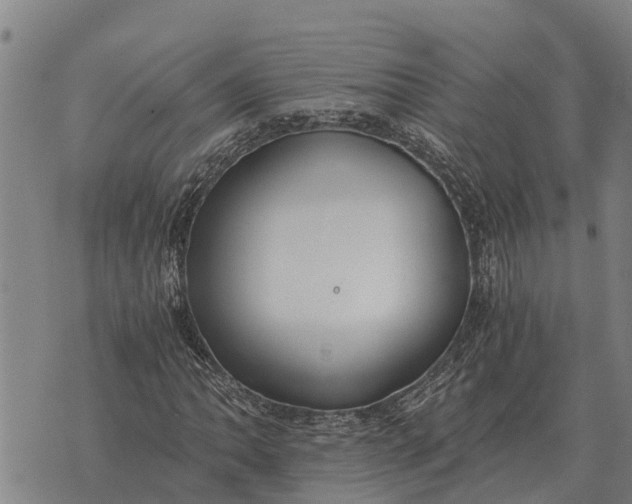 X0000073901062200609011713