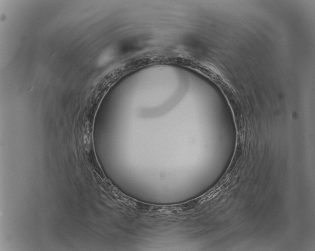 X0000073901063200609011713