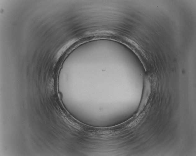 X0000073901066200609011712