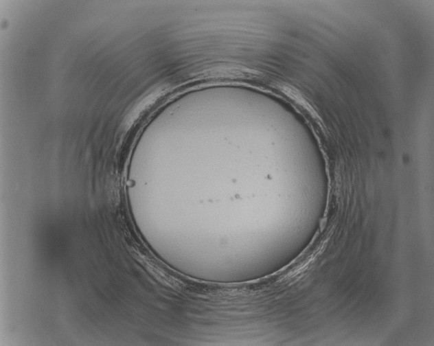 X0000073901067200609011712