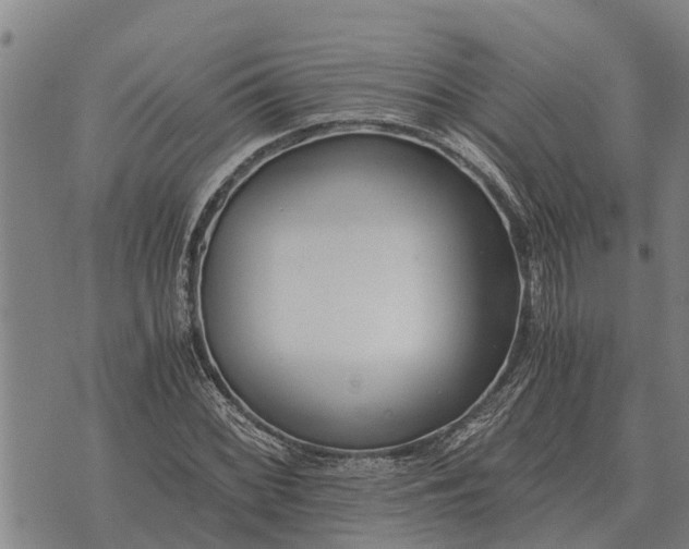 X0000073901068200609011712