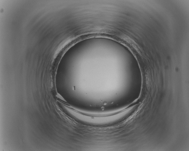 X0000073901069200609011712