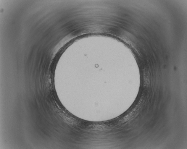 X0000073901070200609011712