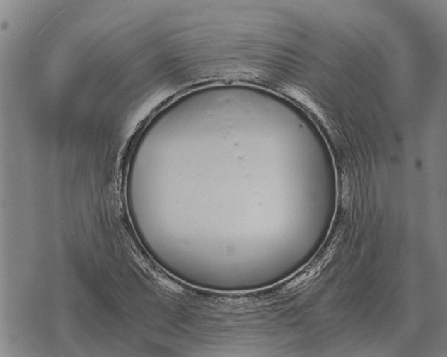 X0000073901071200609011712