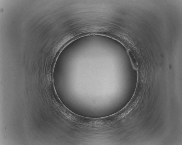 X0000073901073200609011712