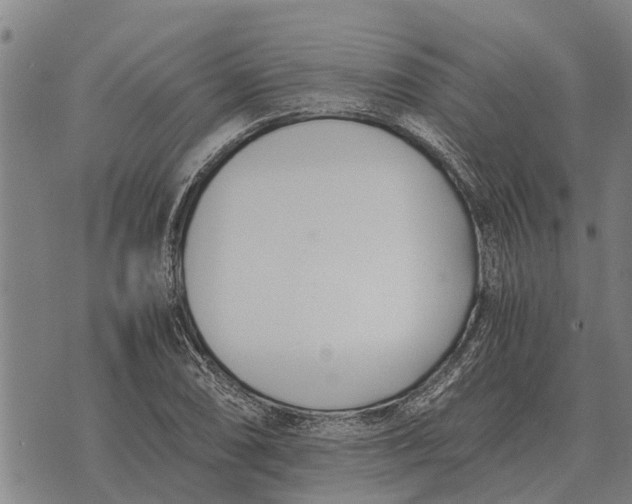 X0000073901074200609011712