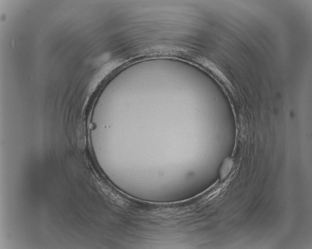 X0000073901075200609011712