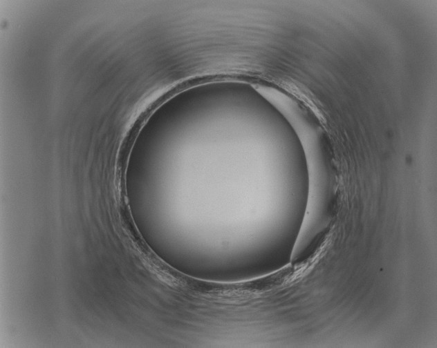 X0000073901077200609011712