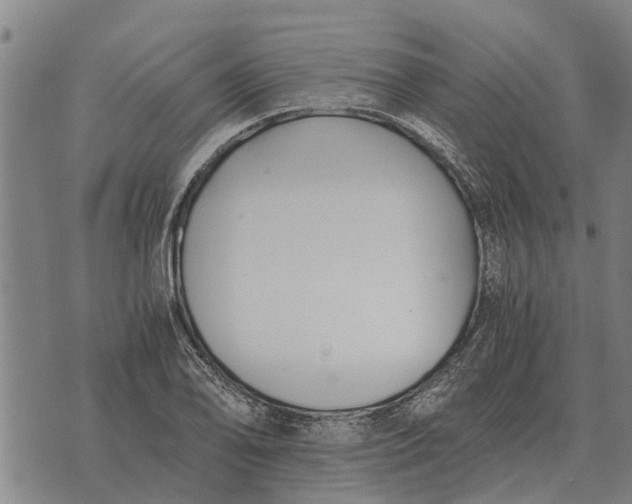 X0000073901078200609011712