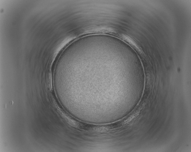 X0000073901079200609011712