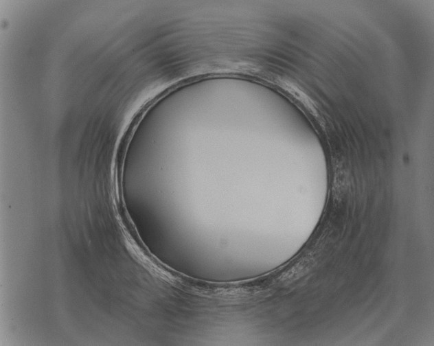 X0000073901080200609011712