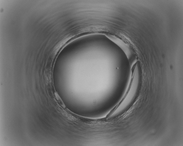 X0000073901081200609011712