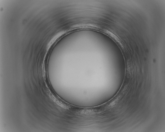 X0000073901082200609011712