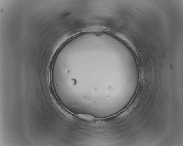 X0000073901083200609011712