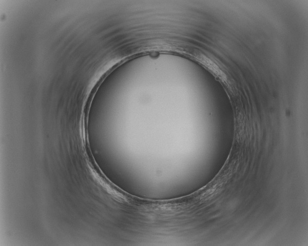 X0000073901084200609011712