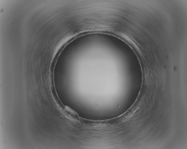 X0000073901085200609011712