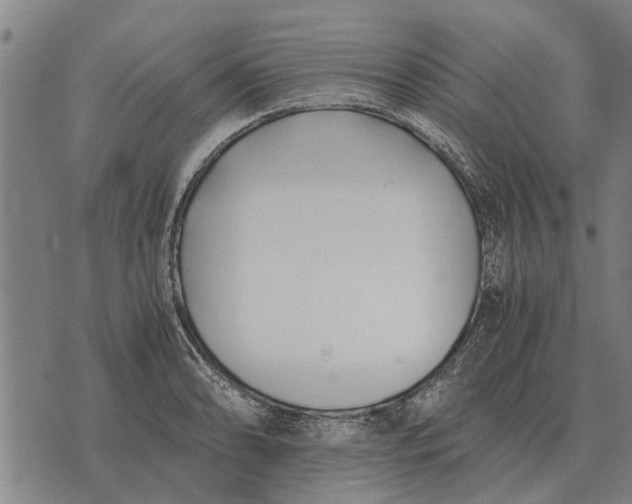 X0000073901086200609011712