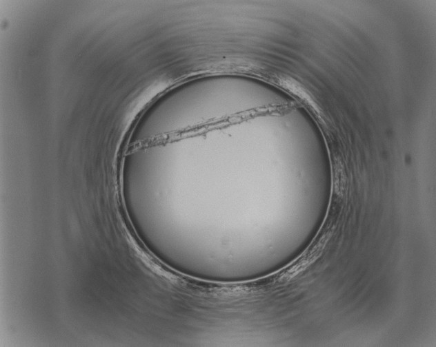 X0000073901087200609011712