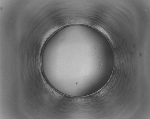 X0000073901088200609011712