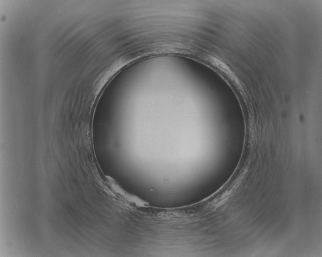 X0000073901089200609011712