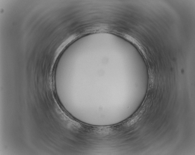 X0000073901090200609011712