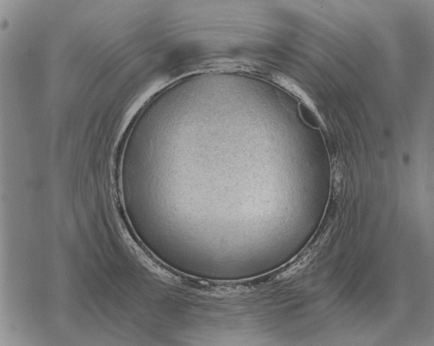 X0000073901091200609011712