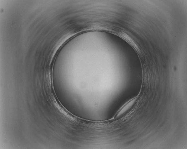 X0000073901092200609011712