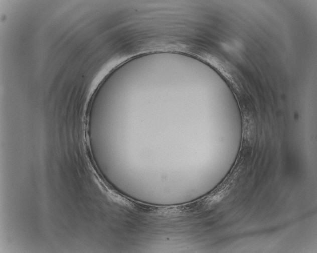 X0000073901094200609011712