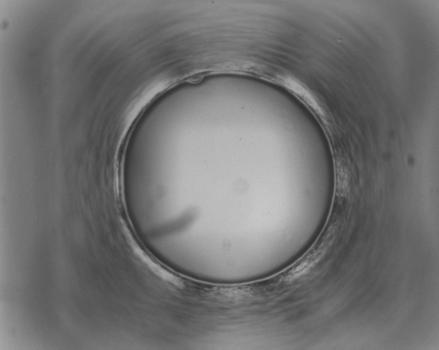 X0000073901095200609011712