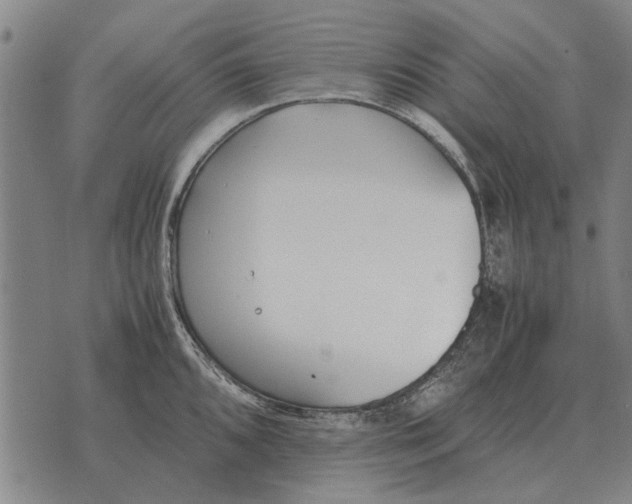 X0000073901096200609011712