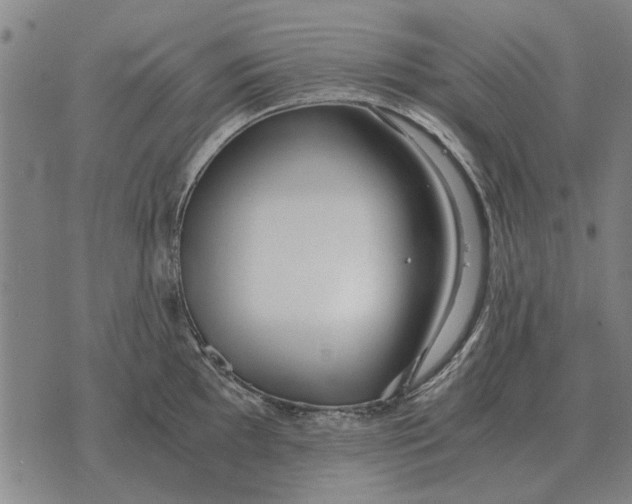 X0000073901097200609011712