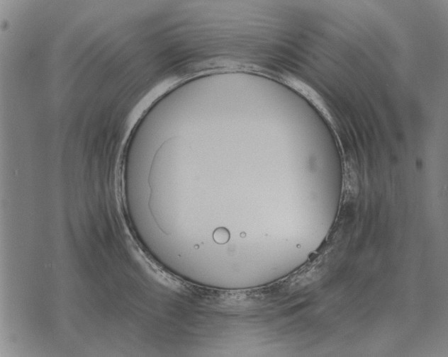 X0000073901098200609011712