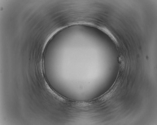 X0000073901100200609011712