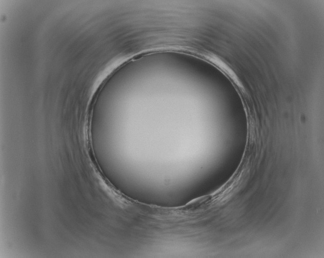 X0000073901101200609011712