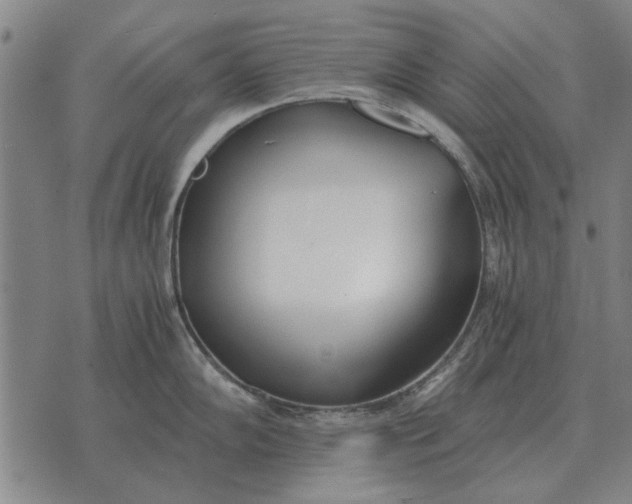 X0000073901102200609011712