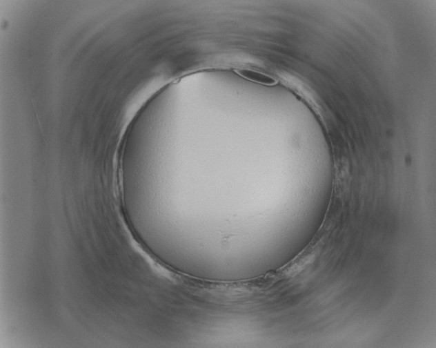 X0000073901103200609011712