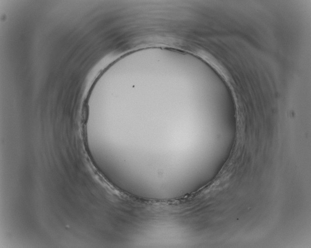 X0000073901104200609011712