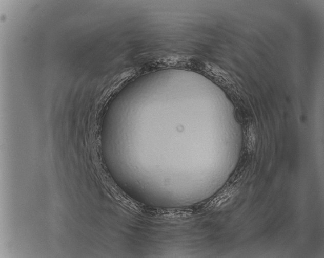 X0000073901105200609011711